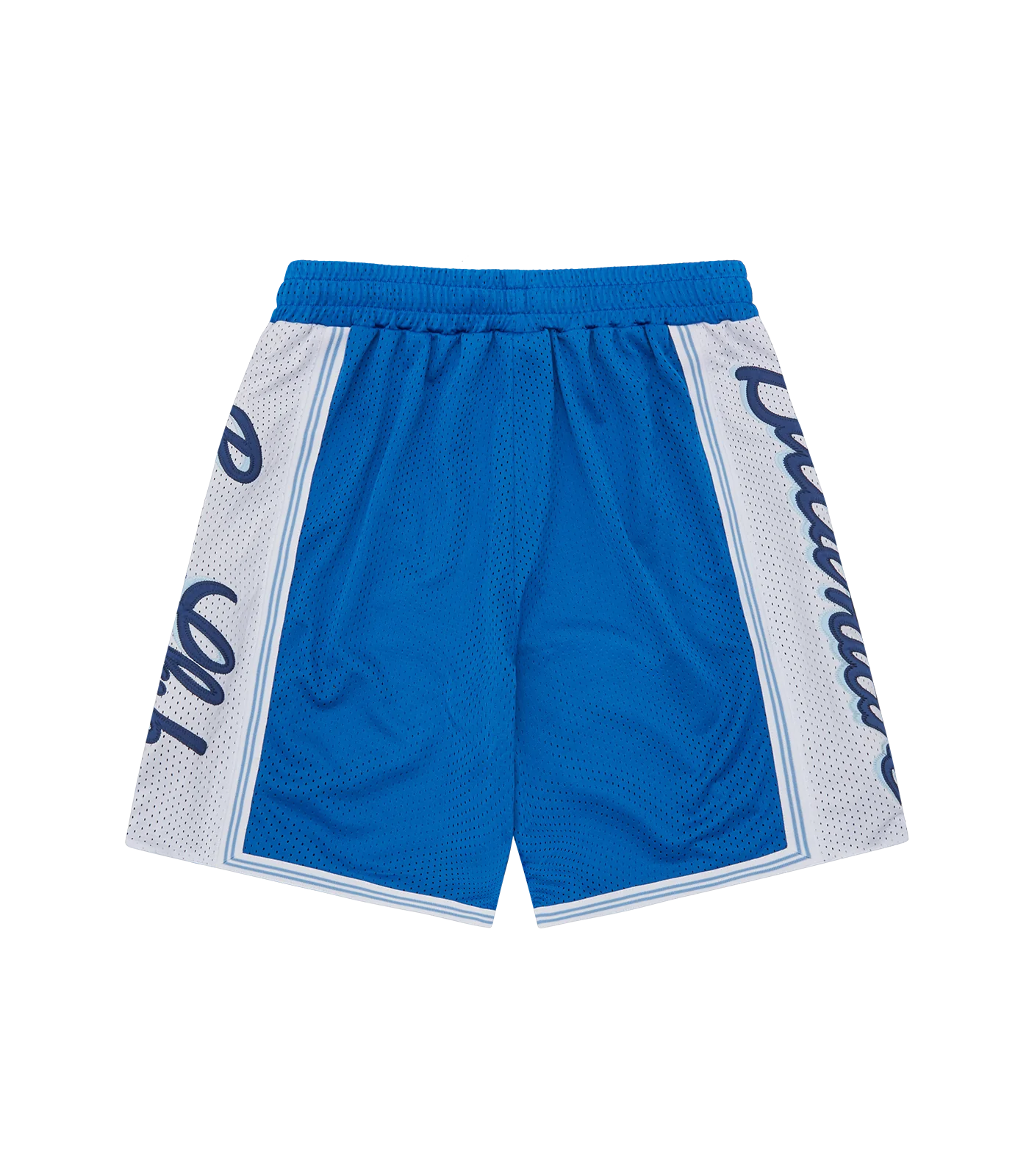 SCRIPT LOGO BASKETBALL SHORTS - BLUE