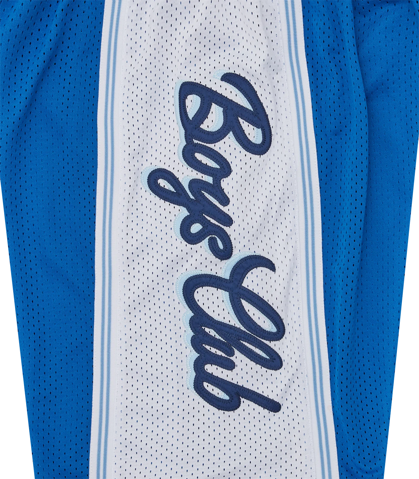SCRIPT LOGO BASKETBALL SHORTS - BLUE