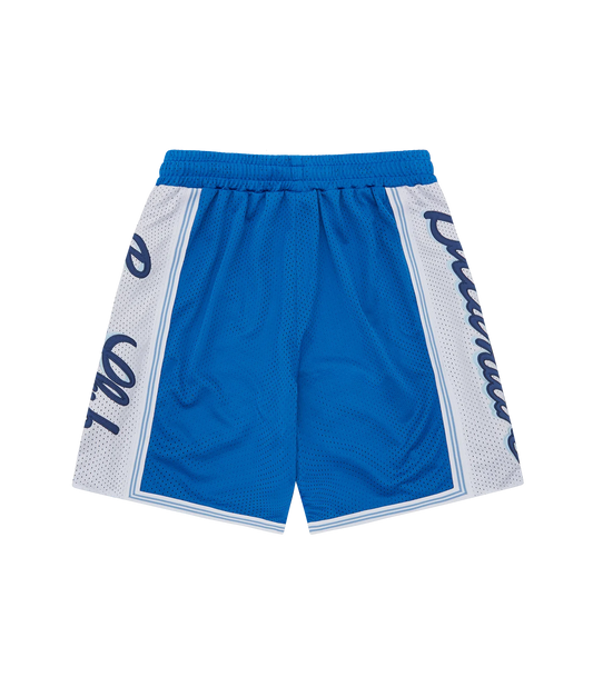 SCRIPT LOGO BASKETBALL SHORTS - BLUE